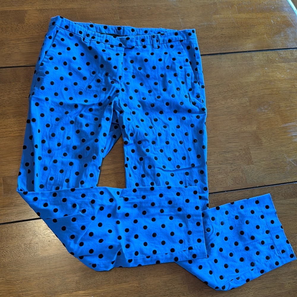 Blue, with black velvet polka dots, women’s dress pants size 6